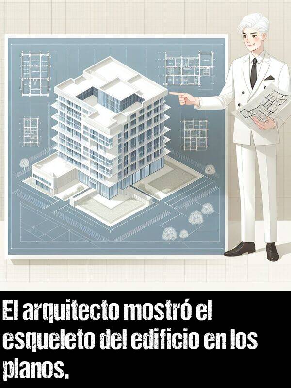 edificio: El arquitecto mostr el esqueleto del edificio en los planos.