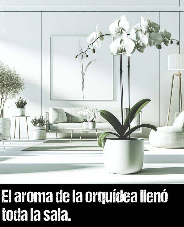 orqudeo: El aroma de la orqudea llen toda la sala.