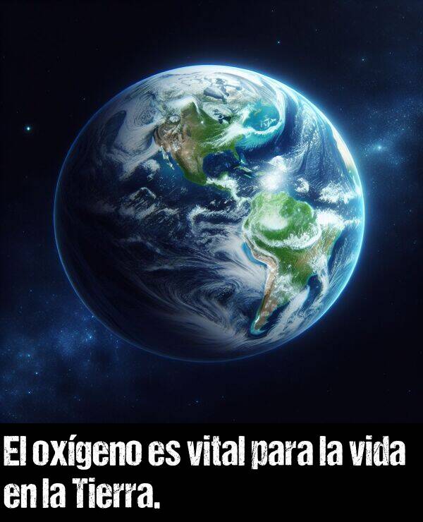 vida: El oxgeno es vital para la vida en la Tierra.