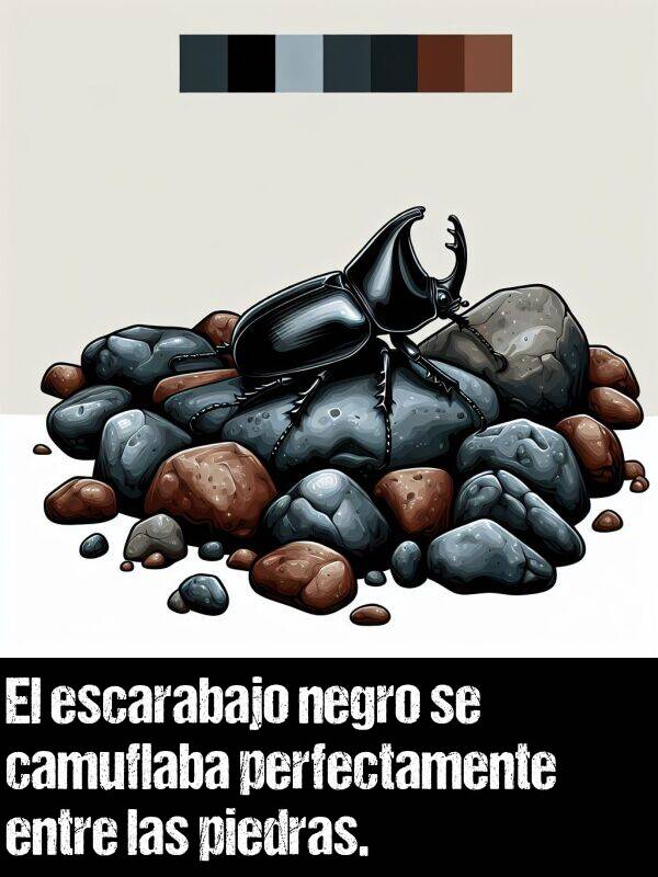 escarabajo: El escarabajo negro se camuflaba perfectamente entre las piedras.