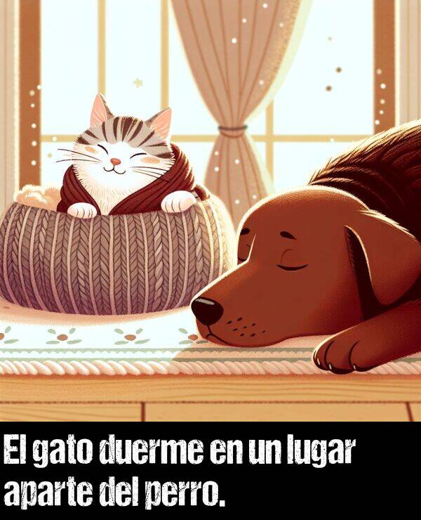 aparte: El gato duerme en un lugar aparte del perro.