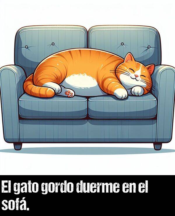 sof: El gato gordo duerme en el sof.