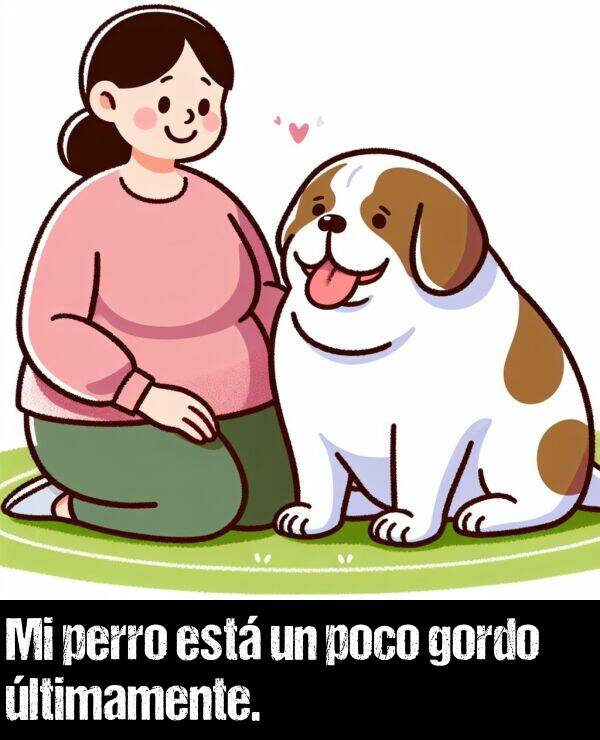 poco: Mi perro est un poco gordo ltimamente.