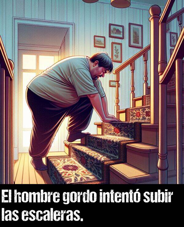 subir: El hombre gordo intent subir las escaleras.