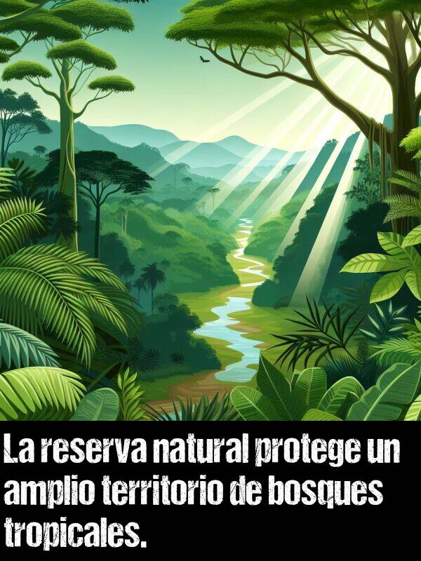 tropicales: La reserva natural protege un amplio territorio de bosques tropicales.