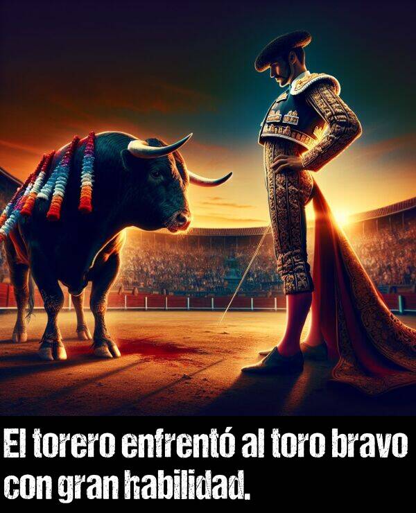 torero: El torero enfrent al toro bravo con gran habilidad.