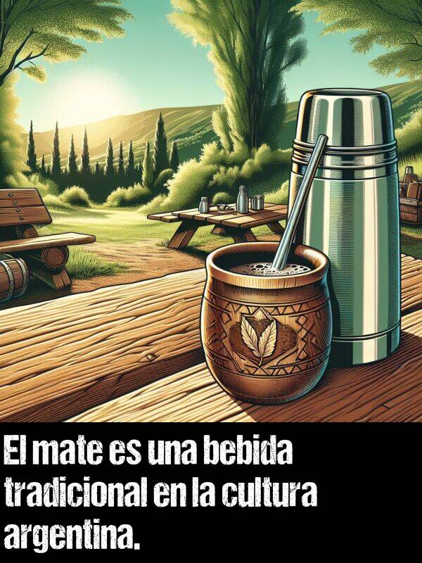 argentina: El mate es una bebida tradicional en la cultura argentina.