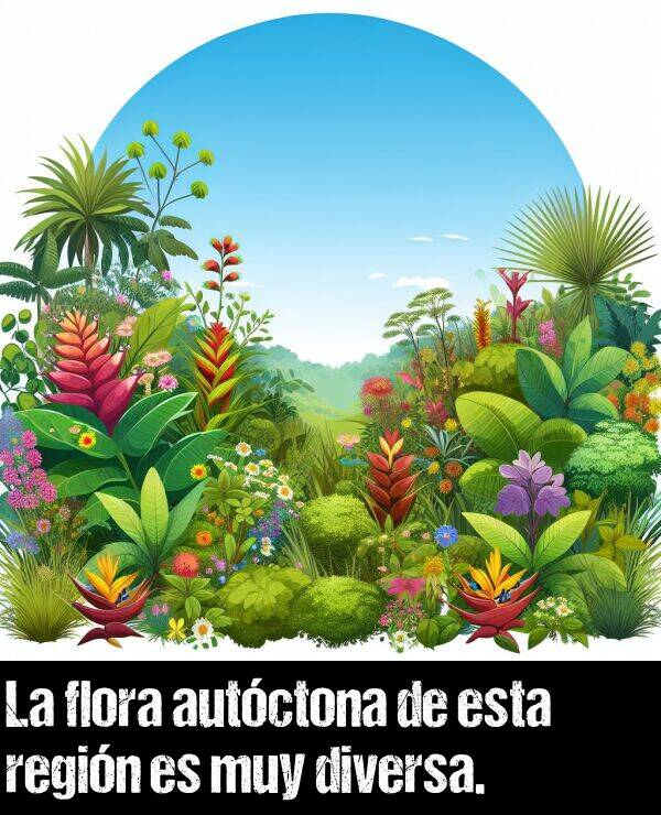 flora: La flora autctona de esta regin es muy diversa.