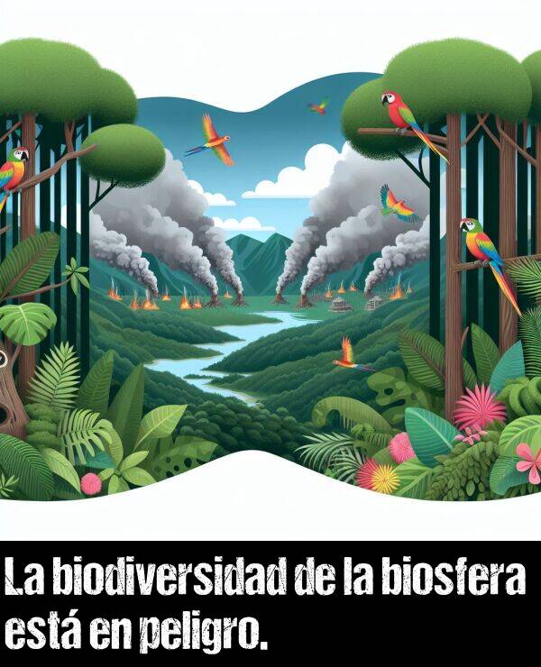 biodiversidad: La biodiversidad de la biosfera est en peligro.