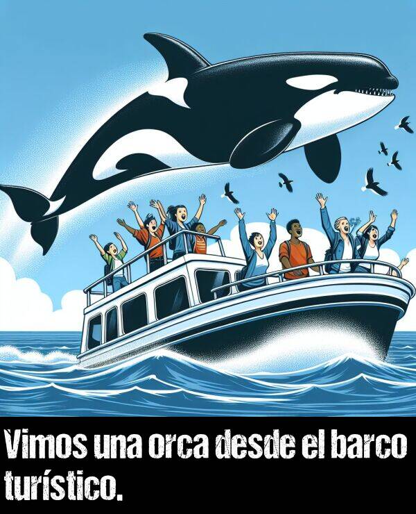 orca: Vimos una orca desde el barco turstico.