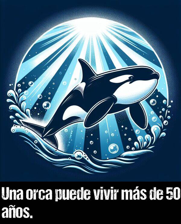 orca: Una orca puede vivir ms de 50 aos.