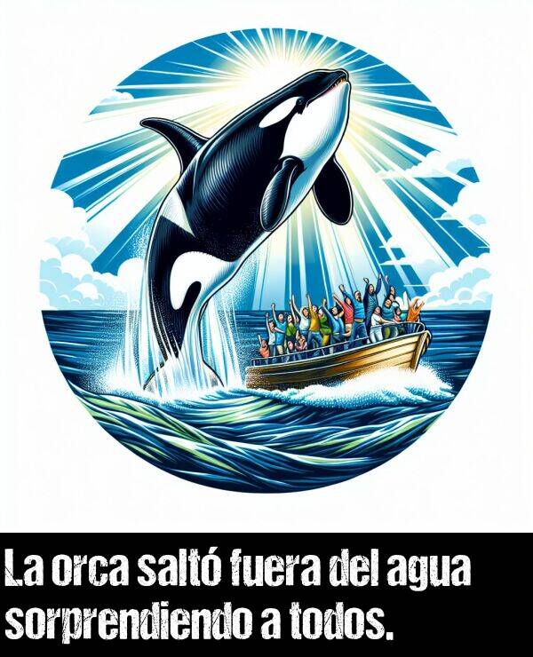 orca: La orca salt fuera del agua sorprendiendo a todos.