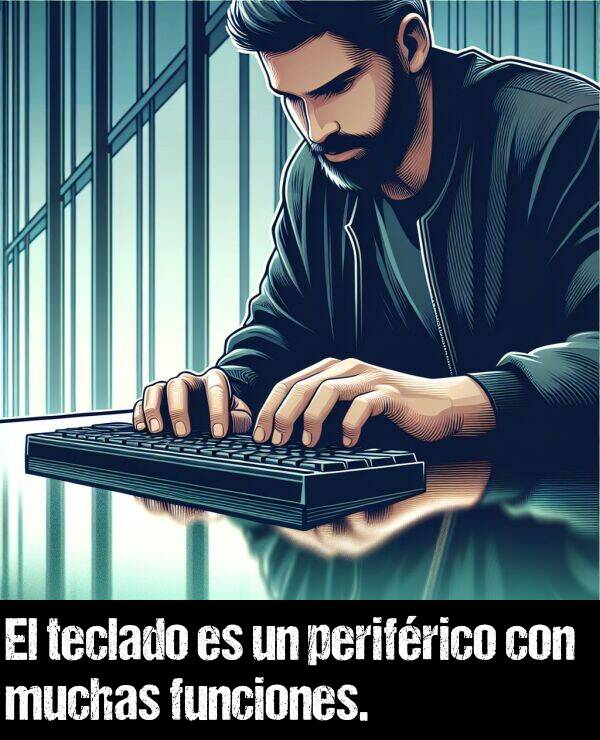 funcin: El teclado es un perifrico con muchas funciones.