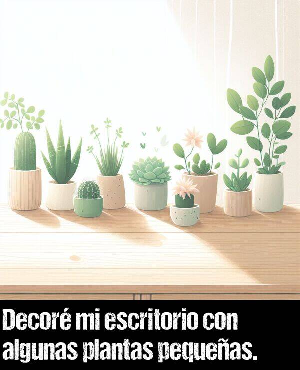 escritorio: Decor mi escritorio con algunas plantas pequeas.