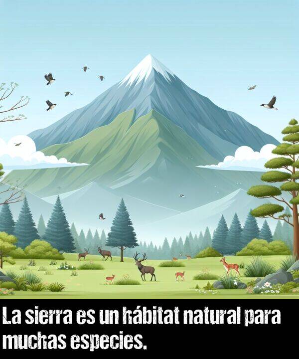 natural: La sierra es un hbitat natural para muchas especies.