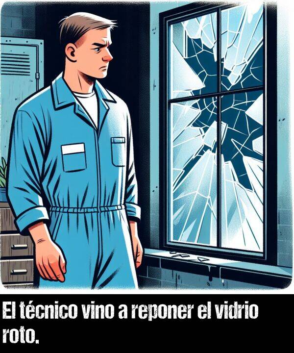 reponer: El tcnico vino a reponer el vidrio roto.