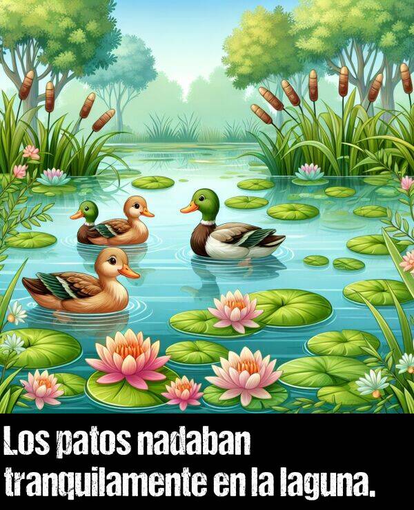 patos: Los patos nadaban tranquilamente en la laguna.