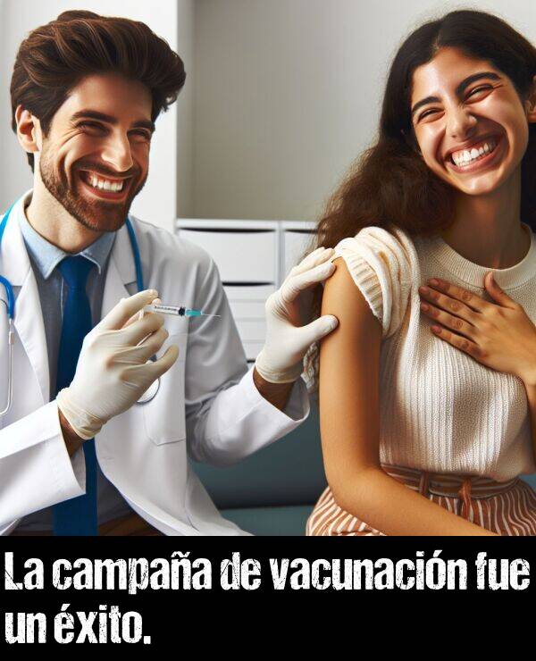 campaa: La campaa de vacunacin fue un xito.