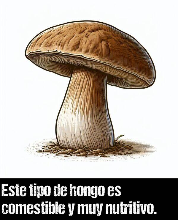 hongo: Este tipo de hongo es comestible y muy nutritivo.