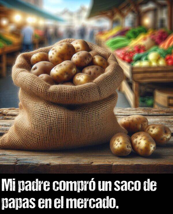 mercado: Mi padre compr un saco de papas en el mercado.