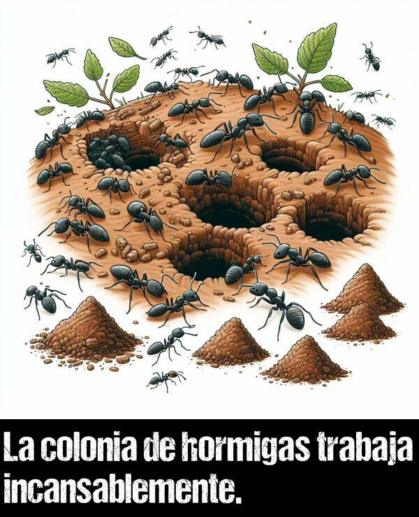 colonia: La colonia de hormigas trabaja incansablemente.