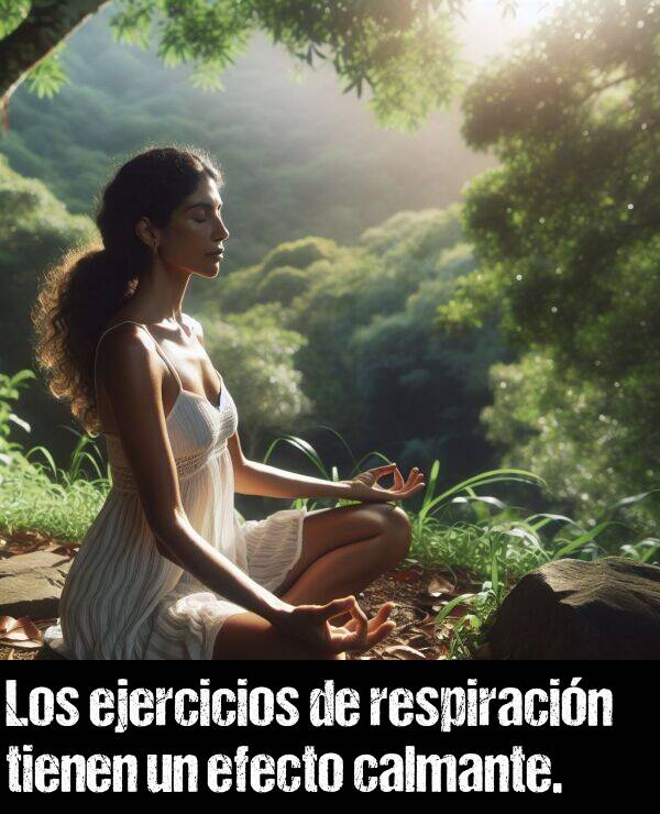 respiracin: Los ejercicios de respiracin tienen un efecto calmante.