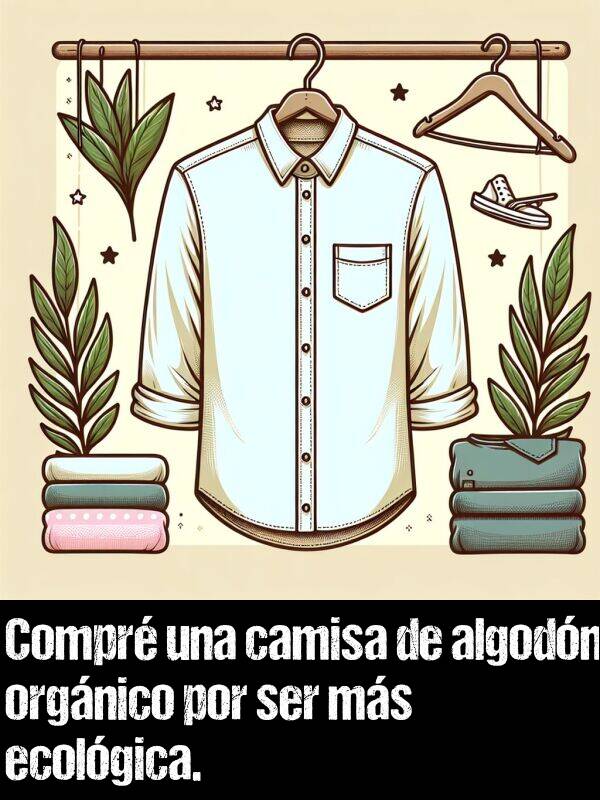 camisa: Compr una camisa de algodn orgnico por ser ms ecolgica.