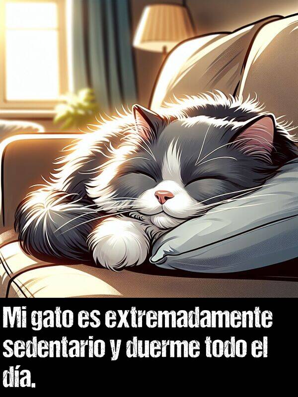 extremadamente: Mi gato es extremadamente sedentario y duerme todo el da.