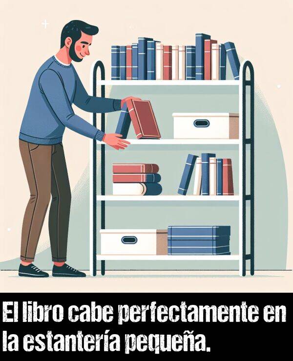 estantera: El libro cabe perfectamente en la estantera pequea.