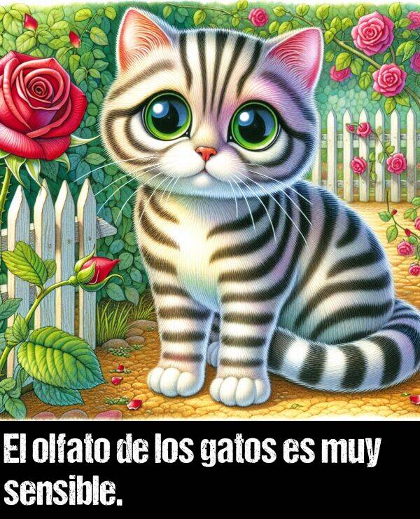 sensible: El olfato de los gatos es muy sensible.