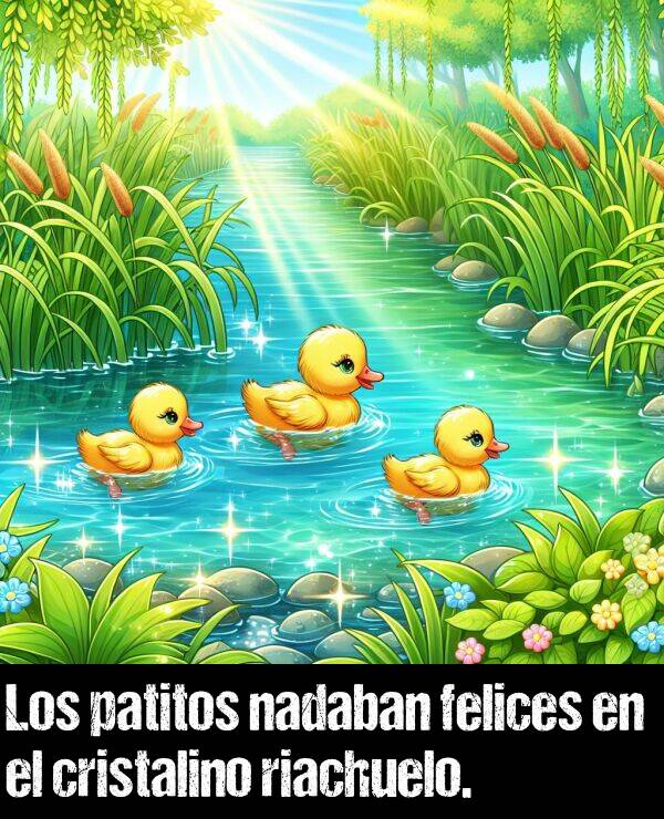 cristalino: Los patitos nadaban felices en el cristalino riachuelo.