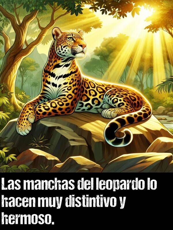 distintivo: Las manchas del leopardo lo hacen muy distintivo y hermoso.