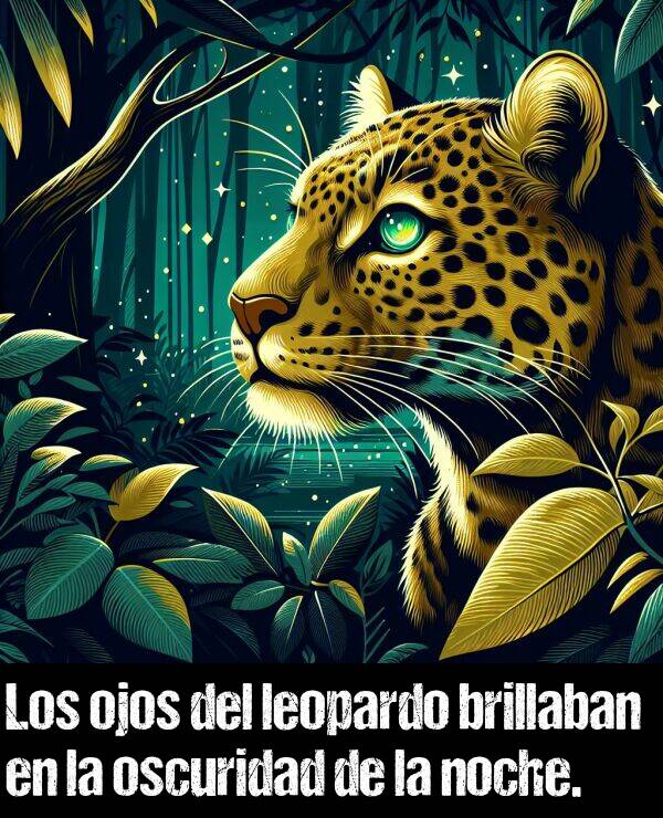 brillaban: Los ojos del leopardo brillaban en la oscuridad de la noche.