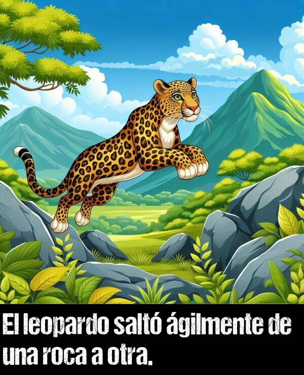 otro: El leopardo salt gilmente de una roca a otra.