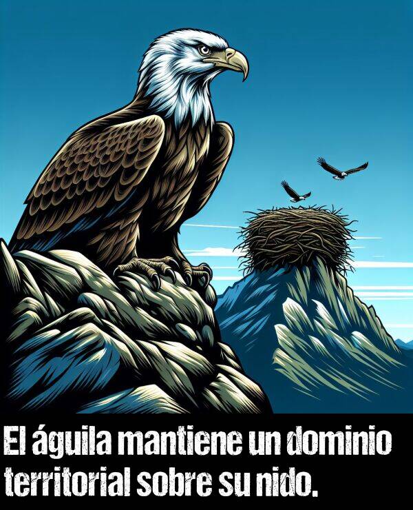 dominio: El guila mantiene un dominio territorial sobre su nido.