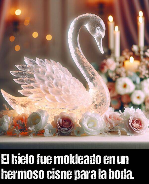 moldeado: El hielo fue moldeado en un hermoso cisne para la boda.