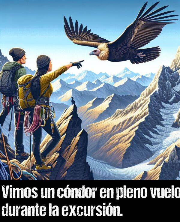 vuelo: Vimos un cndor en pleno vuelo durante la excursin.