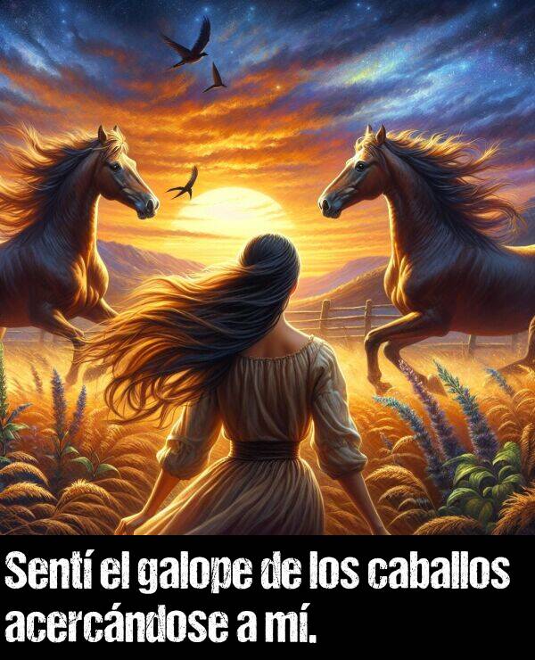 caballos: Sent el galope de los caballos acercndose a m.