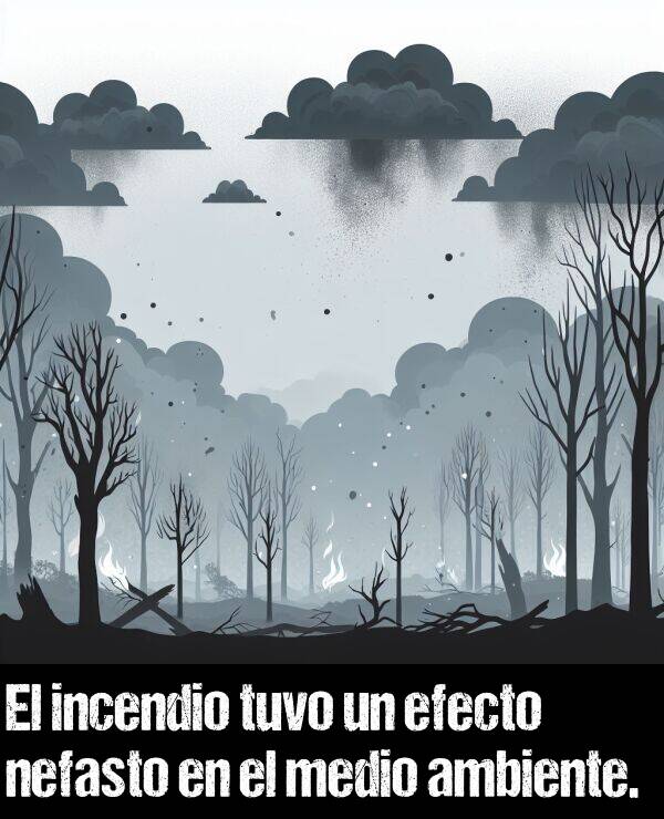 incendio: El incendio tuvo un efecto nefasto en el medio ambiente.