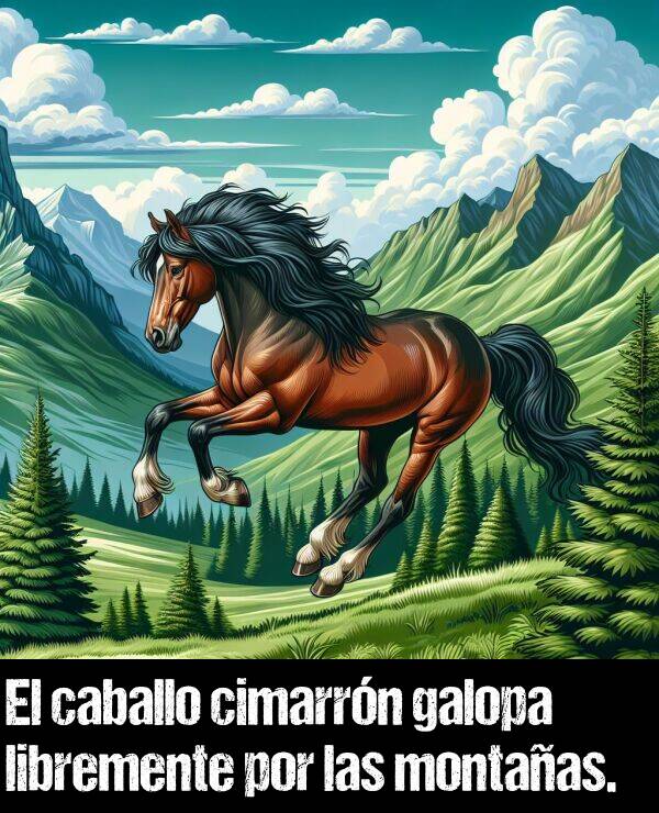 cimarrn: El caballo cimarrn galopa libremente por las montaas.