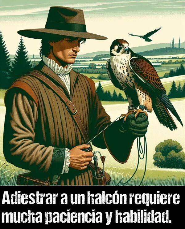 halcn: Adiestrar a un halcn requiere mucha paciencia y habilidad.