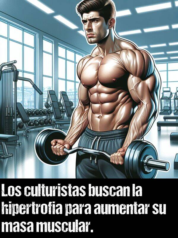 aumentar: Los culturistas buscan la hipertrofia para aumentar su masa muscular.