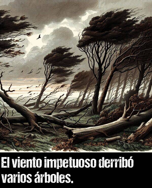 impetuoso: El viento impetuoso derrib varios rboles.