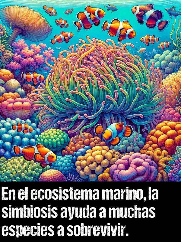 sobrevivir: En el ecosistema marino, la simbiosis ayuda a muchas especies a sobrevivir.