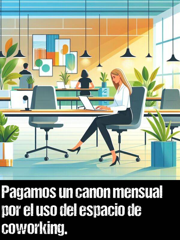 uso: Pagamos un canon mensual por el uso del espacio de coworking.