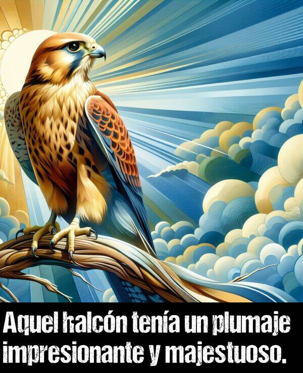 halcn: Aquel halcn tena un plumaje impresionante y majestuoso.