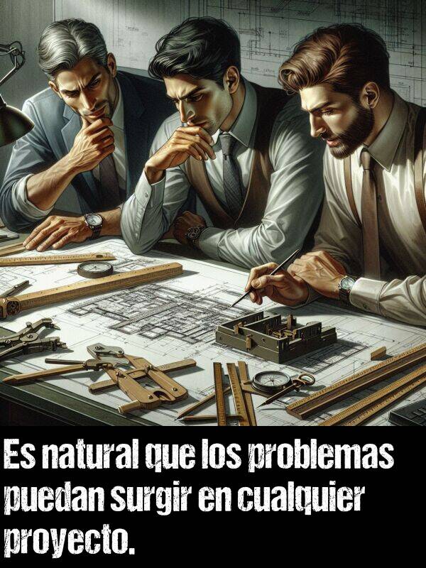 surgir: Es natural que los problemas puedan surgir en cualquier proyecto.