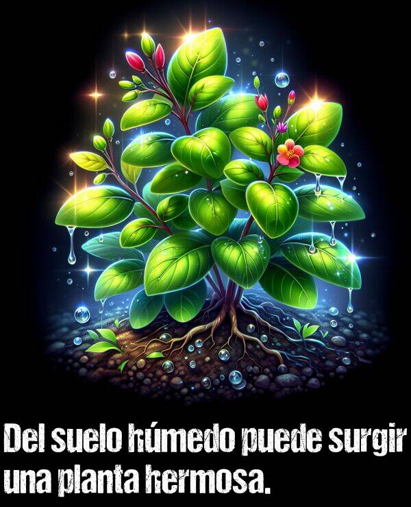 surgir: Del suelo hmedo puede surgir una planta hermosa.