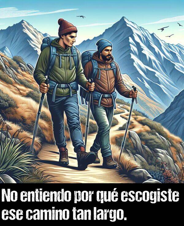 qu: No entiendo por qu escogiste ese camino tan largo.