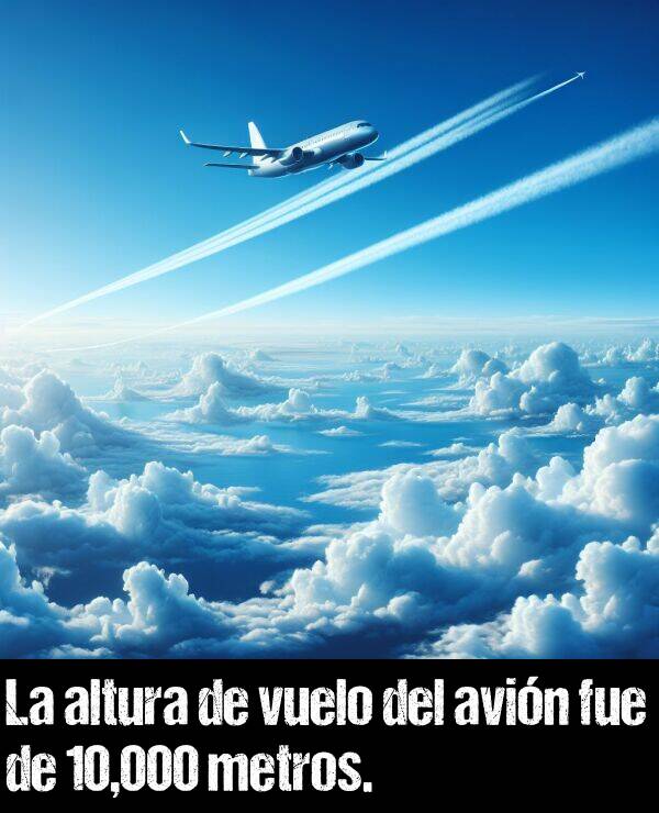 altura: La altura de vuelo del avin fue de 10,000 metros.